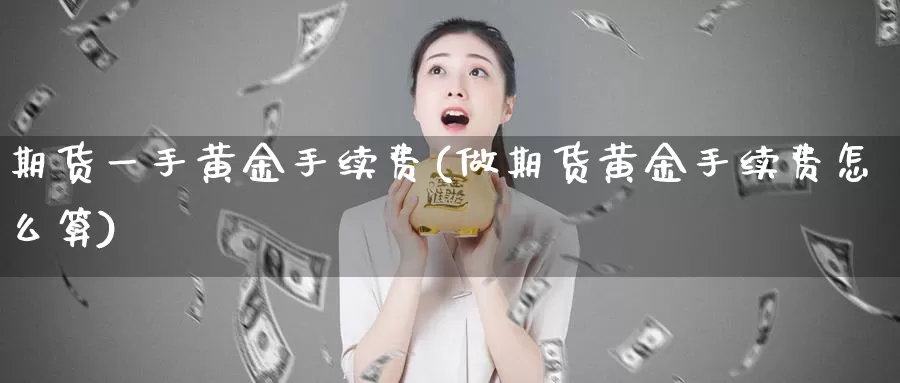 期货一手黄金手续费(做期货黄金手续费怎么算)