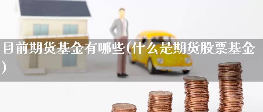 目前期货基金有哪些(什么是期货股票基金)