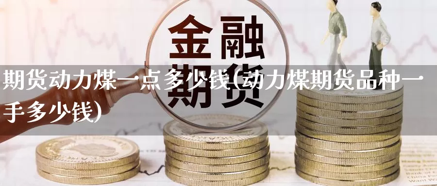 期货动力煤一点多少钱(动力煤期货品种一手多少钱)