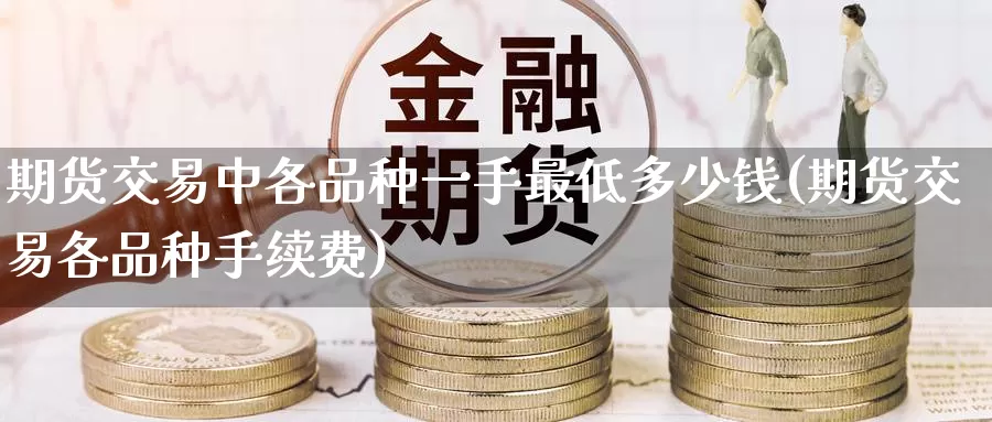 期货交易中各品种一手最低多少钱(期货交易各品种手续费)