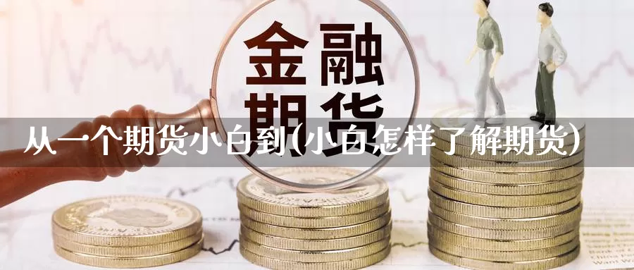 从一个期货小白到(小白怎样了解期货)