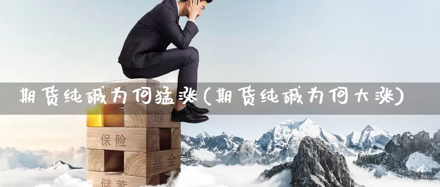 期货纯碱为何猛涨(期货纯碱为何大涨)