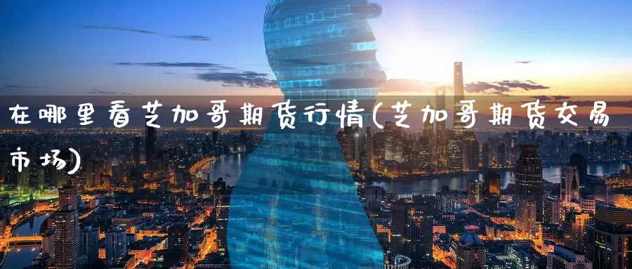 在哪里看芝加哥期货行情(芝加哥期货交易市场)