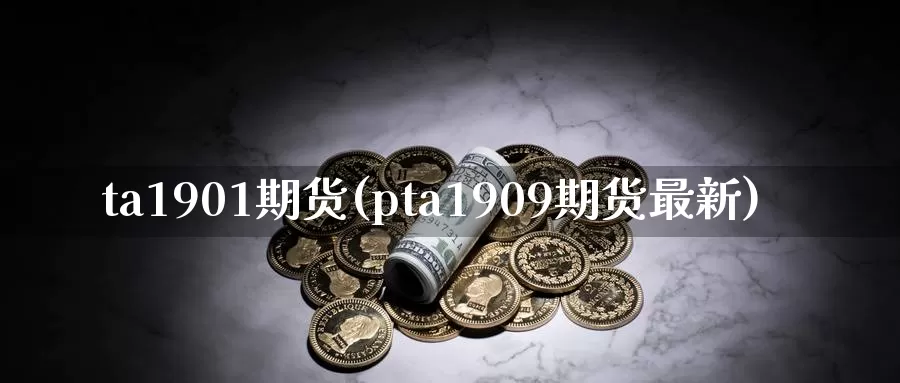 ta1901期货(pta1909期货最新)