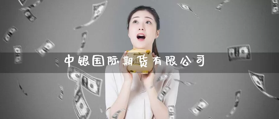 中银国际期货有限公司