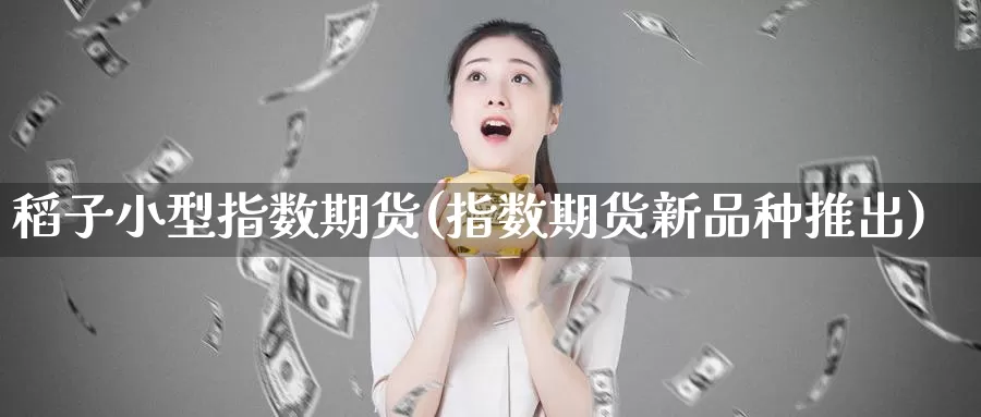 稻子小型指数期货(指数期货新品种推出)