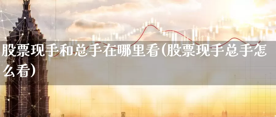 股票现手和总手在哪里看(股票现手总手怎么看)