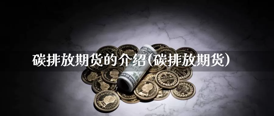 碳排放期货的介绍(碳排放期货)