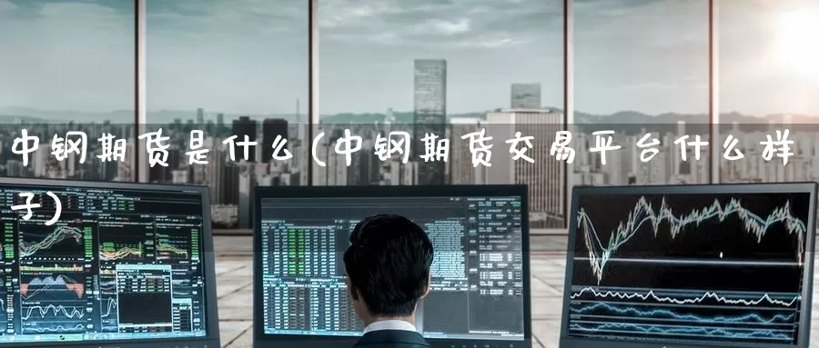 中钢期货是什么(中钢期货交易平台什么样子)