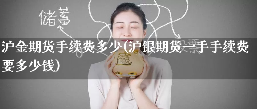 沪金期货手续费多少(沪银期货一手手续费要多少钱)