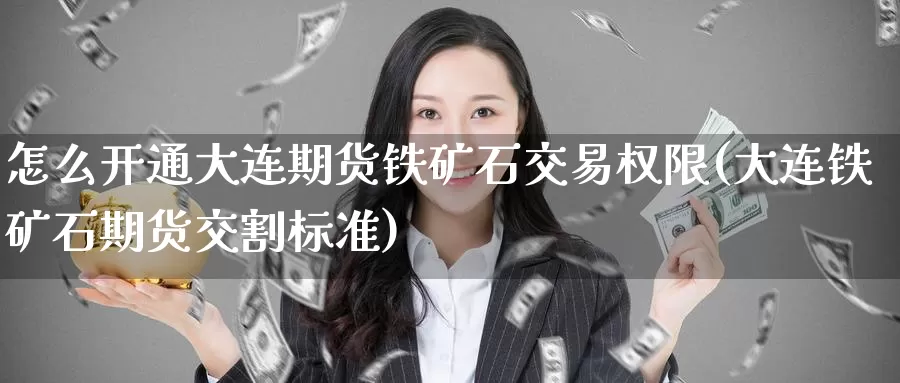 怎么开通大连期货铁矿石交易权限(大连铁矿石期货交割标准)