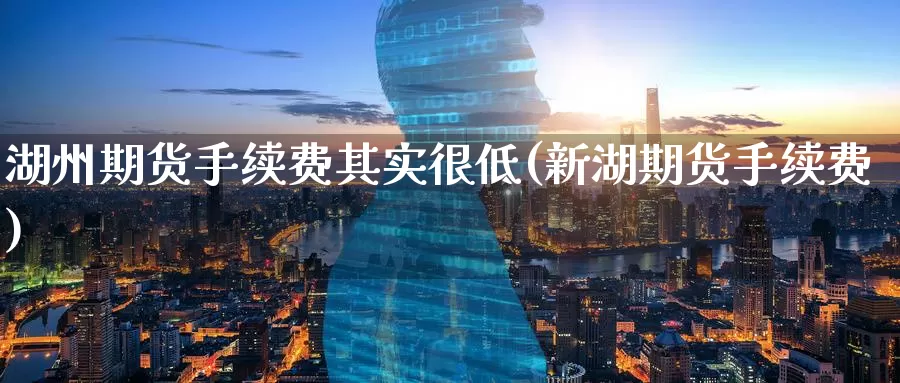 湖州期货手续费其实很低(新湖期货手续费)
