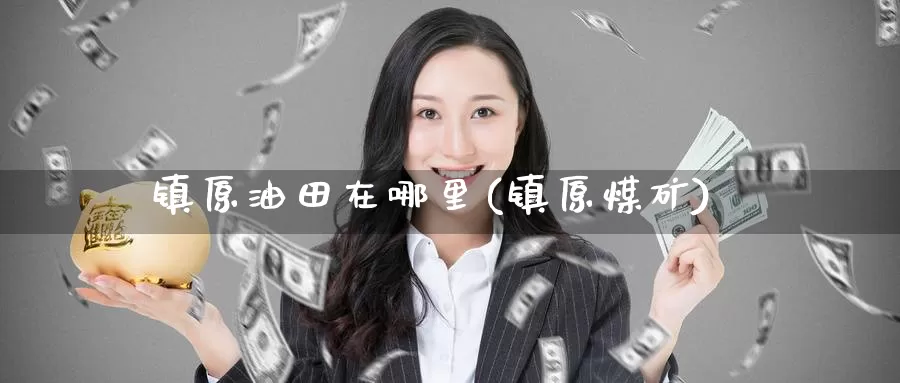 镇原油田在哪里(镇原煤矿)