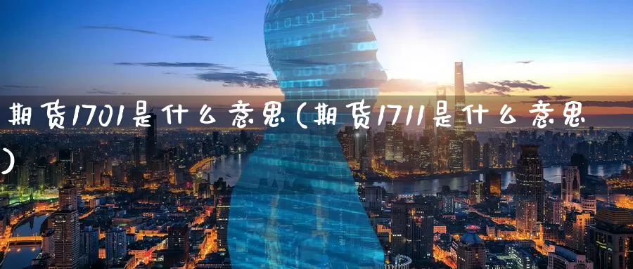 期货1701是什么意思(期货1711是什么意思)