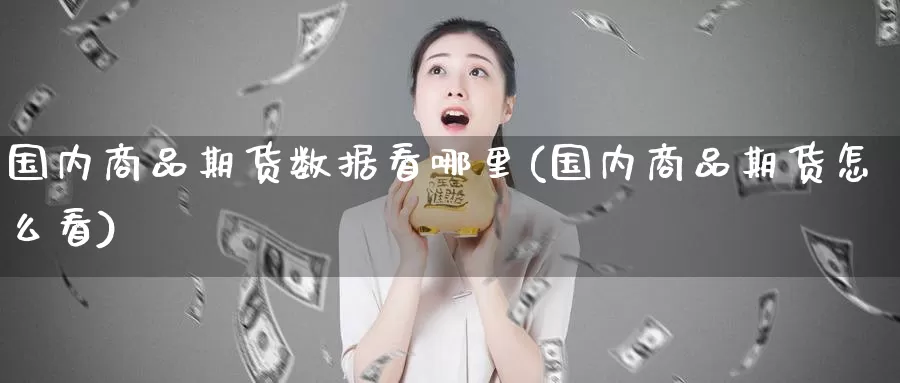 国内商品期货数据看哪里(国内商品期货怎么看)