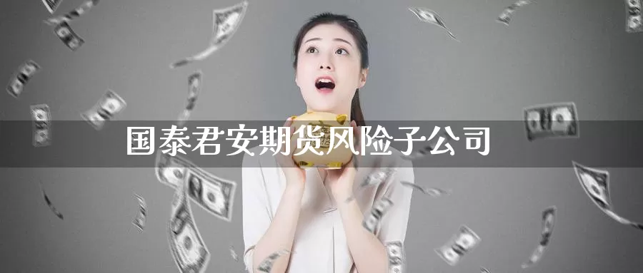 期货风险子公司