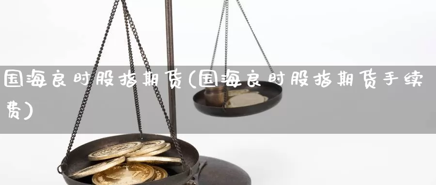 国海良时股指期货(国海良时股指期货手续费)