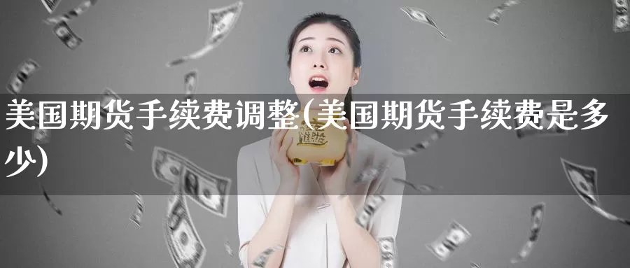 美国期货手续费调整(美国期货手续费是多少)