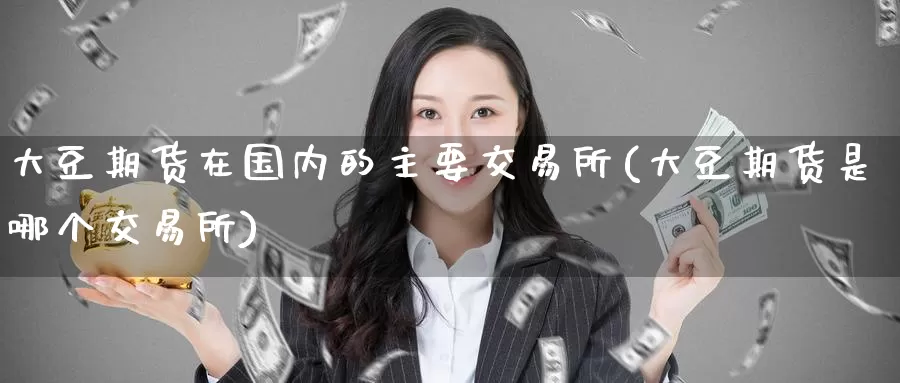 大豆期货在国内的主要交易所(大豆期货是哪个交易所)