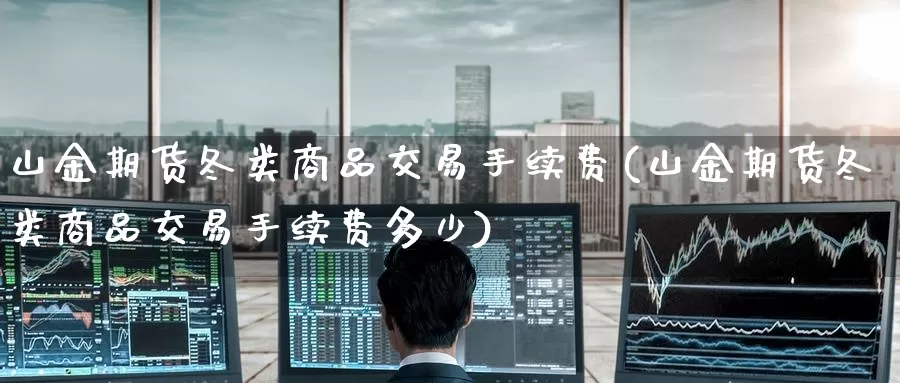 山金期货冬类商品交易手续费(山金期货冬类商品交易手续费多少)