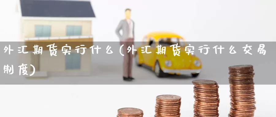 外汇期货实行什么(外汇期货实行什么交易制度)