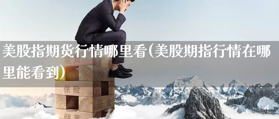 美股指期货行情哪里看(美股期指行情在哪里能看到)