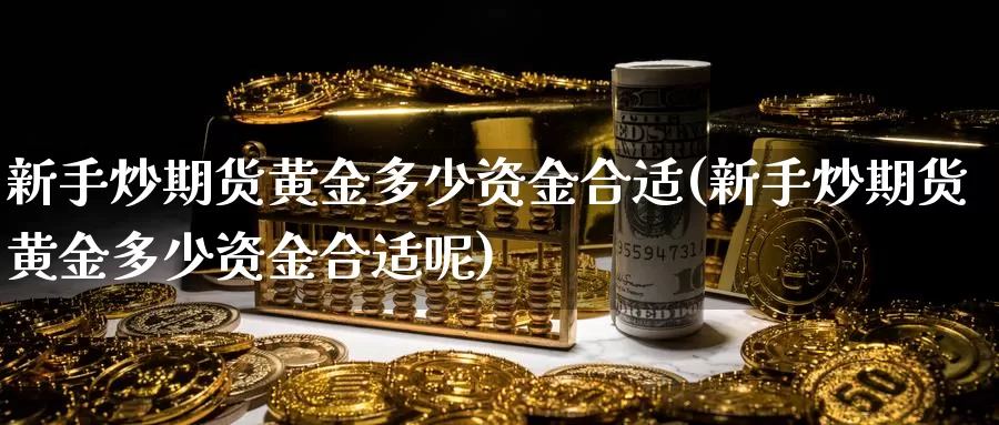 新手炒期货黄金多少资金合适(新手炒期货黄金多少资金合适呢)