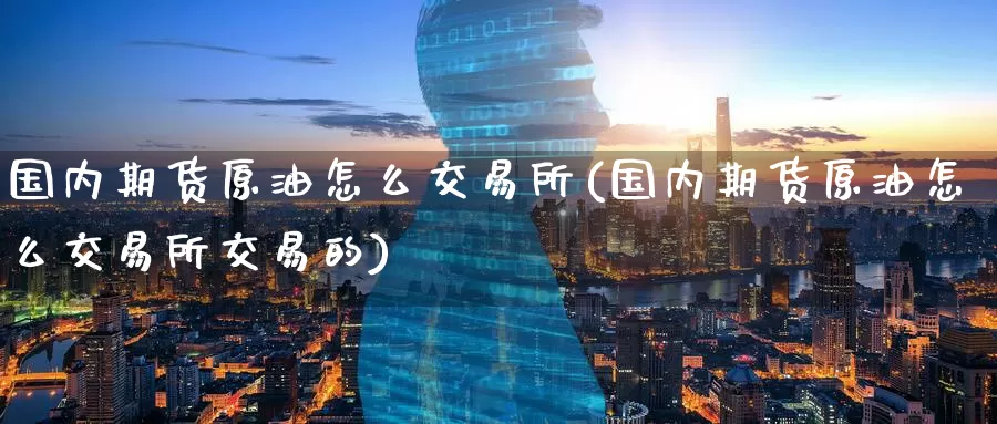 国内期货原油怎么交易所(国内期货原油怎么交易所交易的)