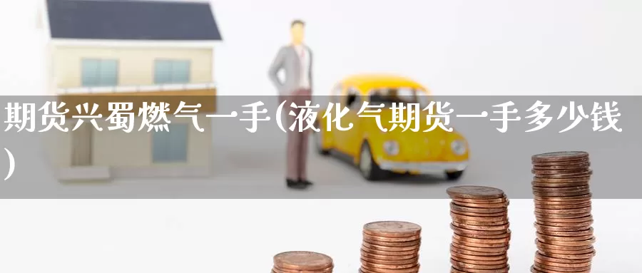 期货兴蜀燃气一手(液化气期货一手多少钱)