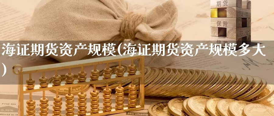 海证期货资产规模(海证期货资产规模多大)