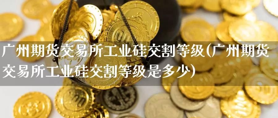 广州期货交易所工业硅交割等级(广州期货交易所工业硅交割等级是多少)