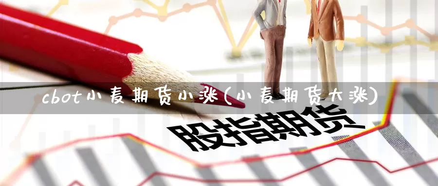 cbot小麦期货小涨(小麦期货大涨)