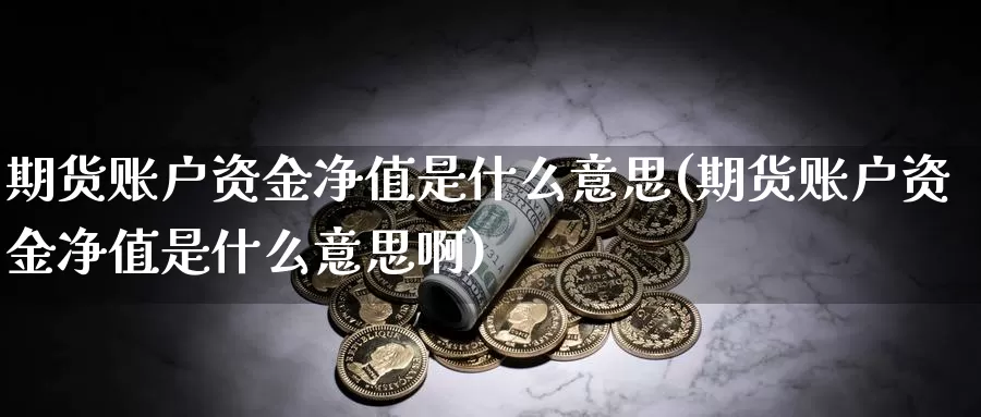 期货账户资金净值是什么意思(期货账户资金净值是什么意思啊)