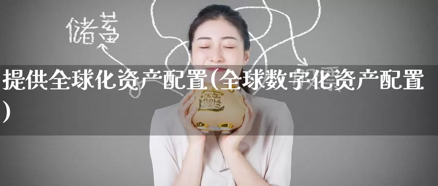 提供全球化资产配置(全球数字化资产配置)