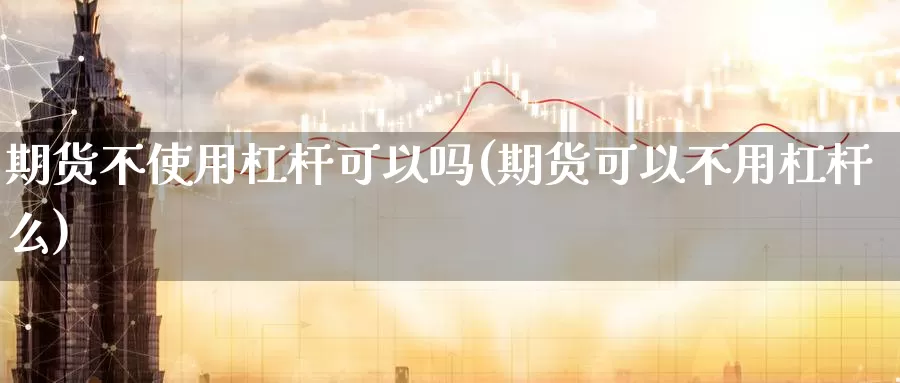 期货不使用杠杆可以吗(期货可以不用杠杆么)