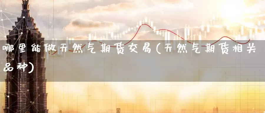 哪里能做天然气期货交易(天然气期货相关品种)