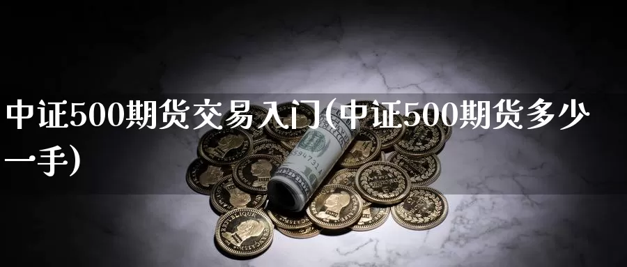中证500期货交易入门(中证500期货多少一手)