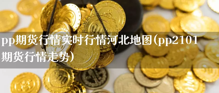 pp期货行情实时行情河北地图(pp2101期货行情走势)