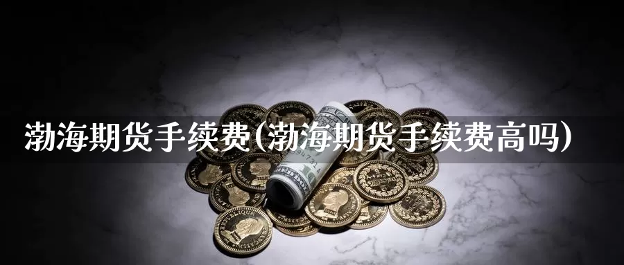 渤海期货手续费(渤海期货手续费高吗)