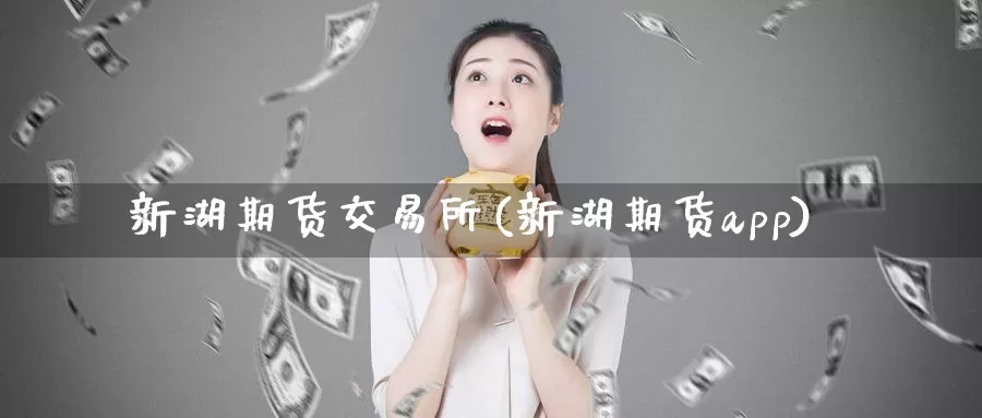 新湖期货交易所(新湖期货app)