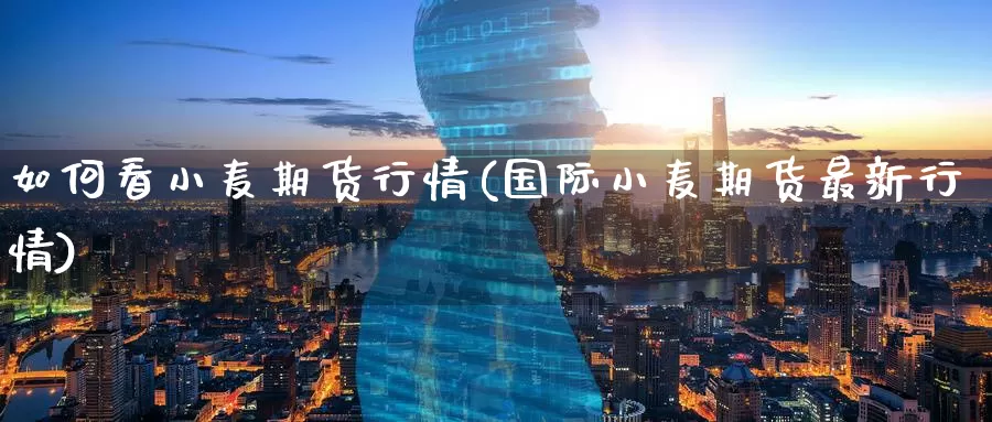 如何看小麦期货行情(国际小麦期货最新行情)