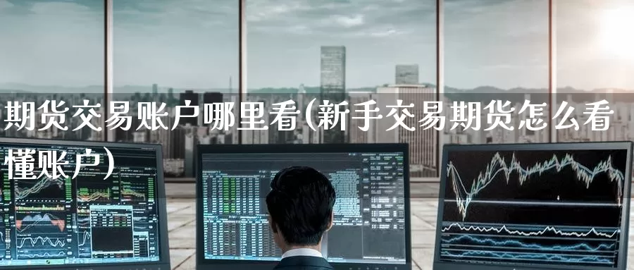 期货交易账户哪里看(新手交易期货怎么看懂账户)
