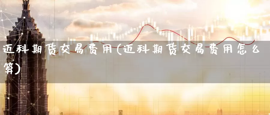 迈科期货交易费用(迈科期货交易费用怎么算)