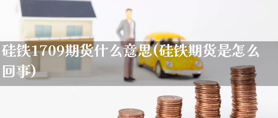硅铁1709期货什么意思(硅铁期货是怎么回事)