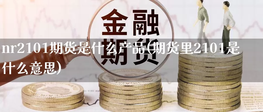 nr2101期货是什么产品(期货里2101是什么意思)