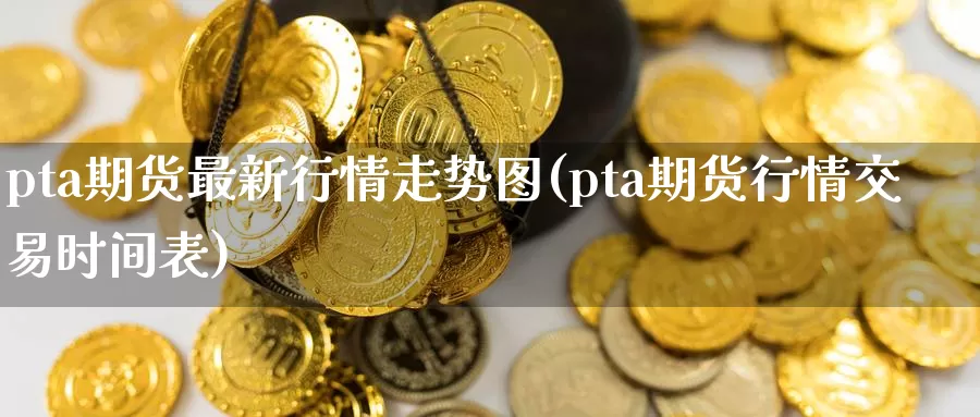 pta期货最新行情走势图(pta期货行情交易时间表)