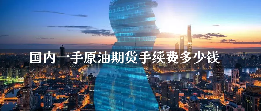 国内一手原油期货手续费多少钱