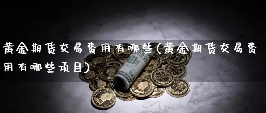黄金期货交易费用有哪些(黄金期货交易费用有哪些项目)