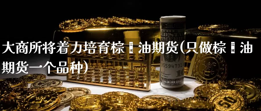 大商所将着力培育棕榈油期货(只做棕榈油期货一个品种)