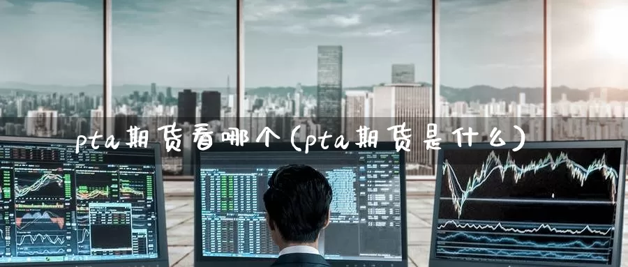 pta期货看哪个(pta期货是什么)
